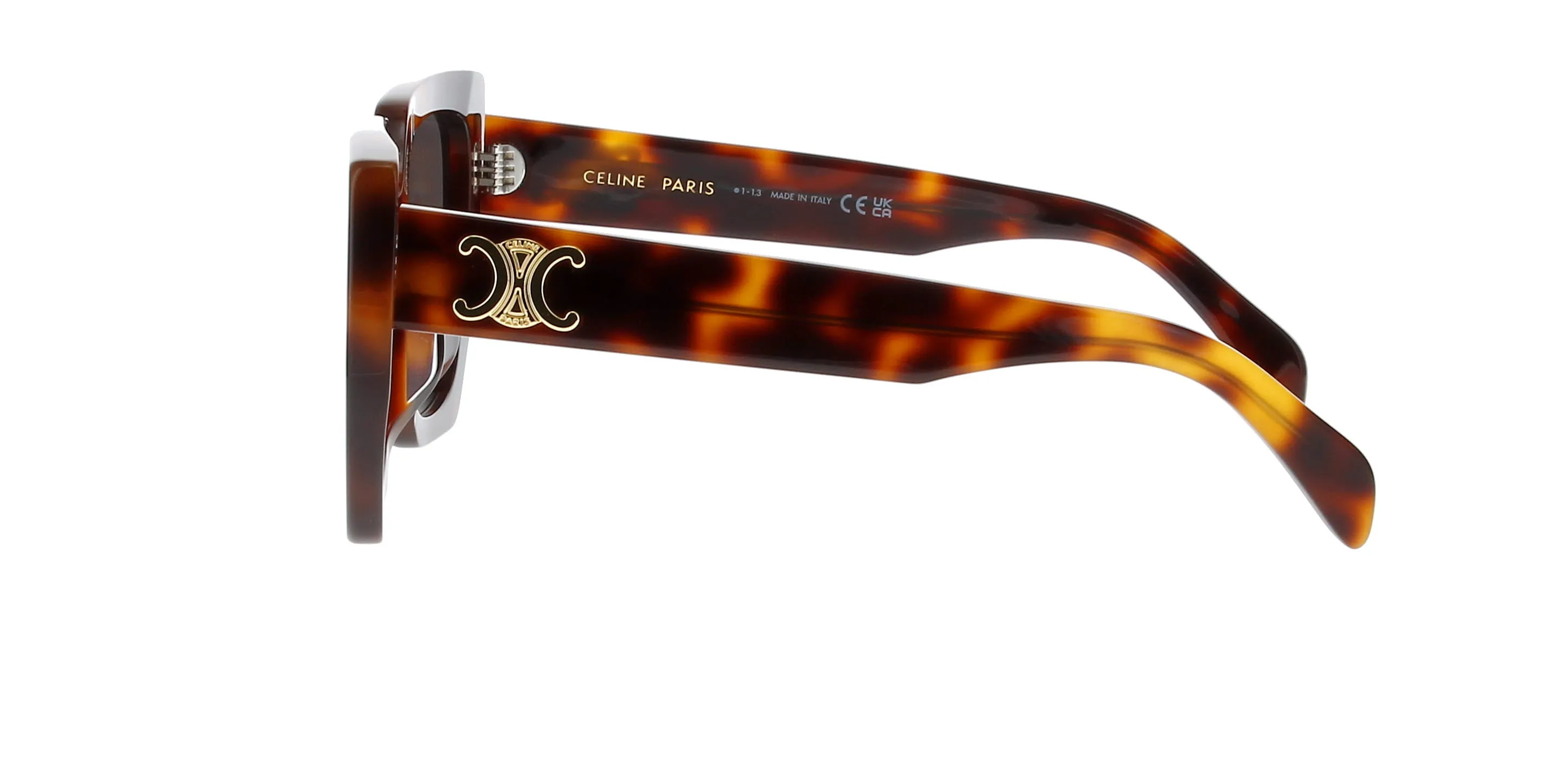 CELINE Triomphe CL40239F
