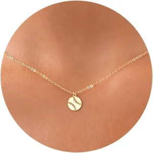 Gold Necklace: 14K Gold Plated Softball Volleyball Sun Sunflower Sun Star Italian Horn Interlocking Bee Butterfly Hummingbird Dainty Necklace for Women 16.5 2 ext